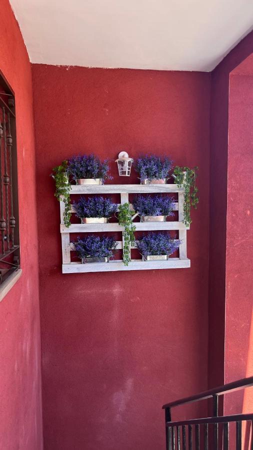 Apartamento Praderas Pantano San Juan Primera Planta Pelayos de la Presa Buitenkant foto